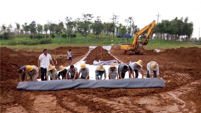 草莓视频污导航